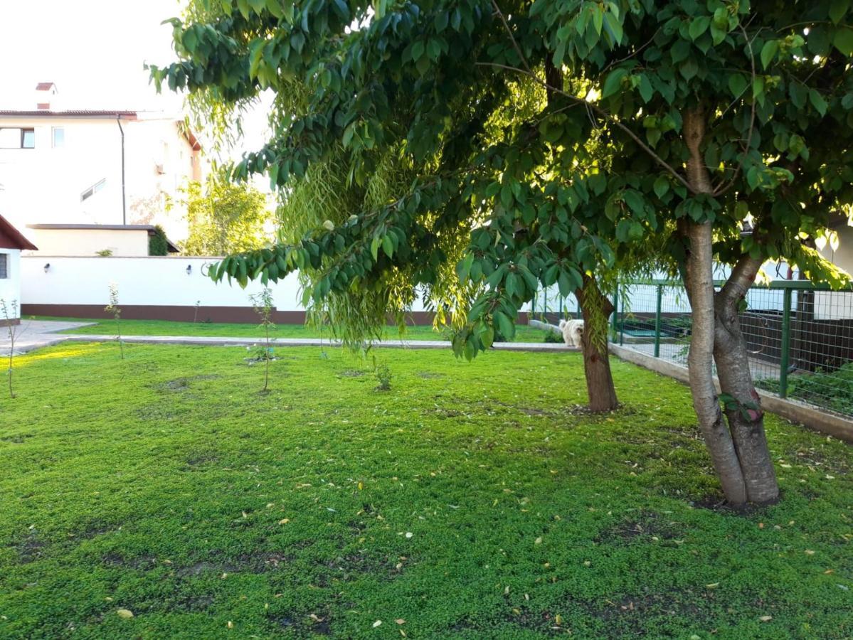 Ferienhaus Iarca *